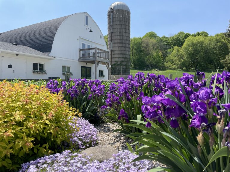 Barn wedding venue in Wisconsin